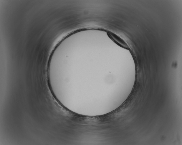 X0000090411191200708031035