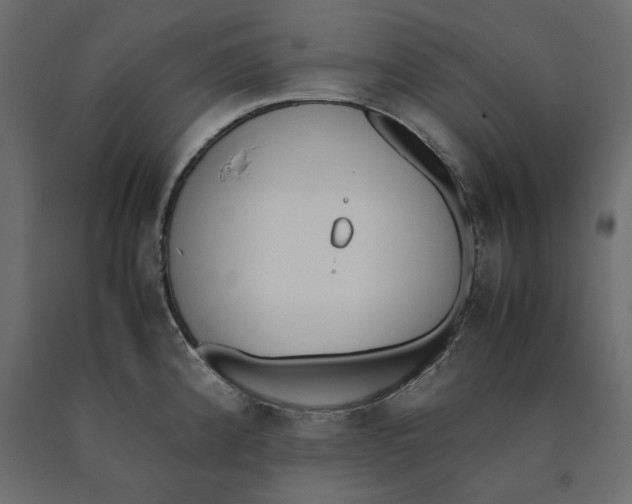 X0000090411192200708031035