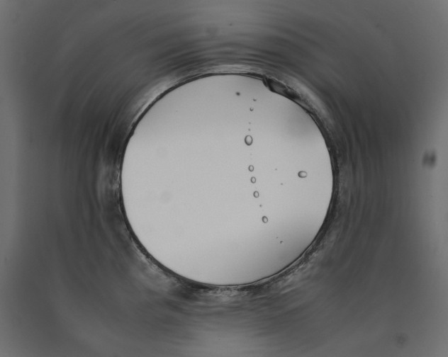 X0000090411193200708031035