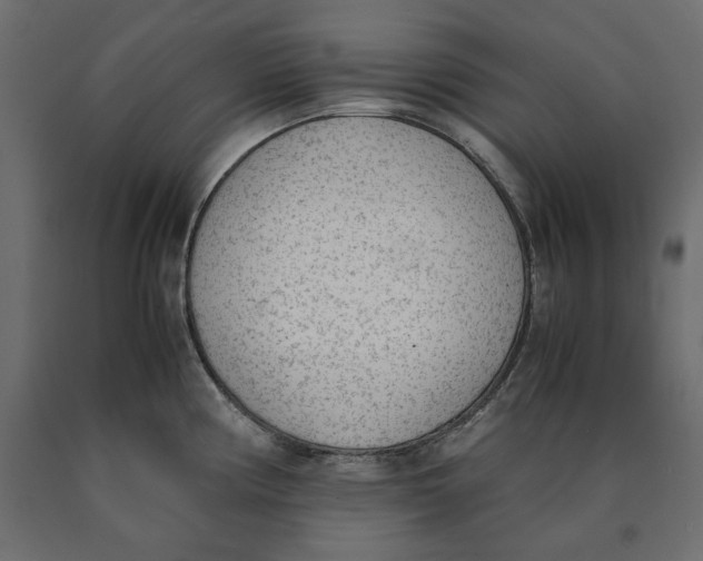X0000090411194200708031035