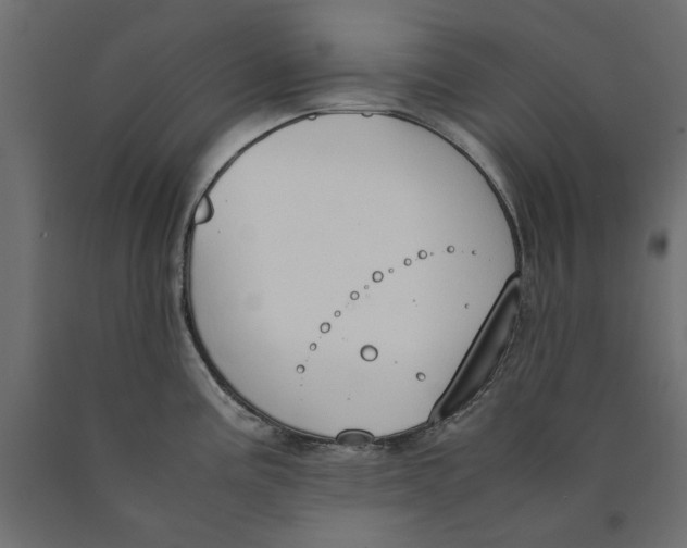 X0000090411195200708031035