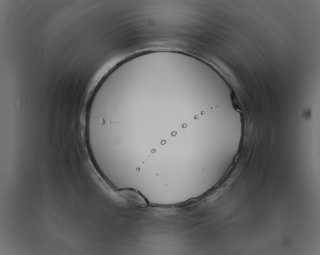 X0000090411196200708031035