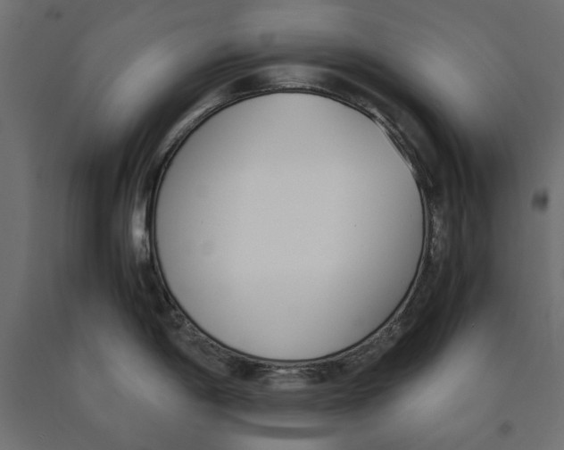 X0000090411198200708031035