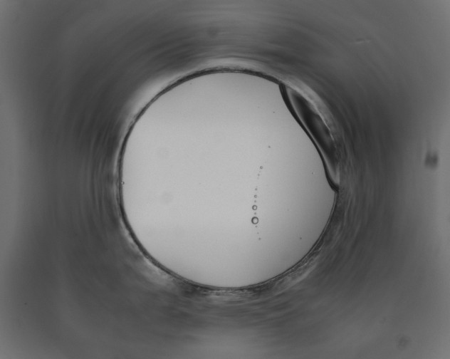 X0000090411199200708031035