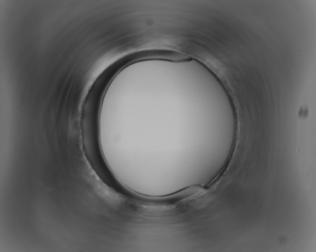 X0000090411200200708031035
