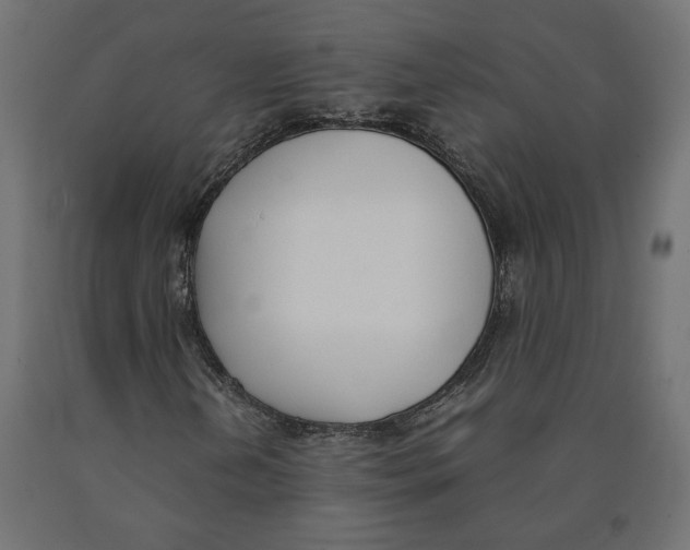 X0000090411202200708031035