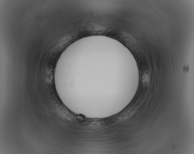 X0000090411204200708031035
