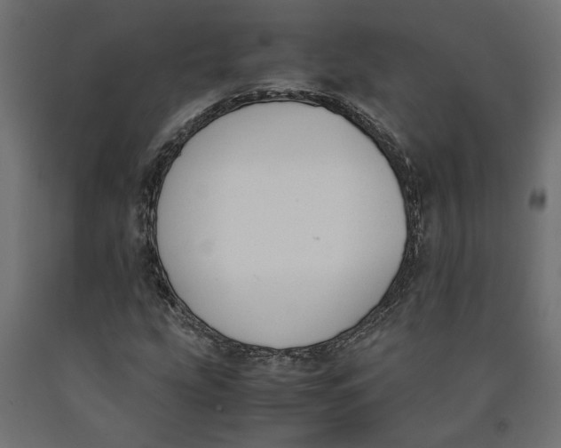 X0000090411207200708031035