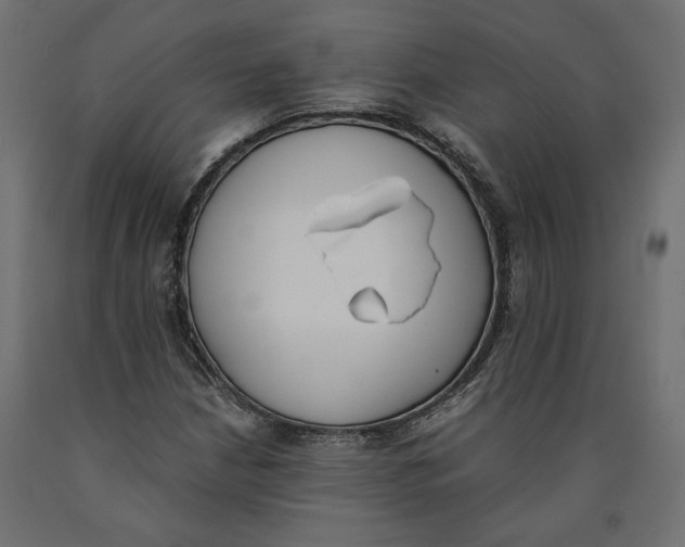 X0000090411210200708031035