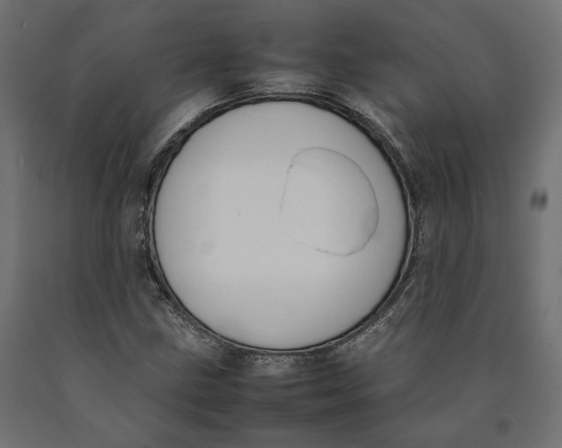 X0000090411211200708031035