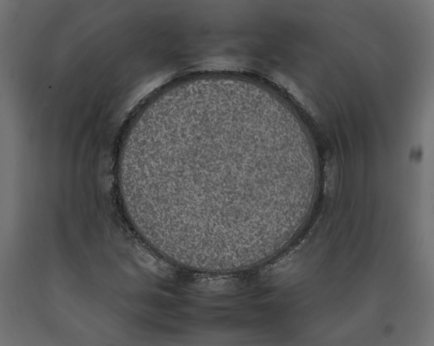 X0000090411213200708031035