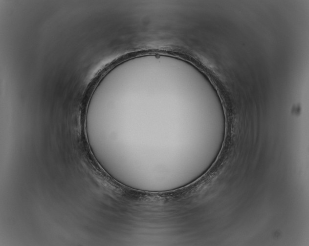 X0000090411214200708031035