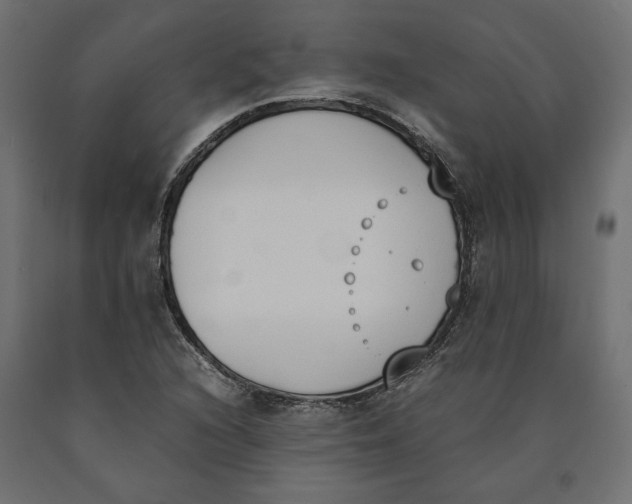X0000090411216200708031035