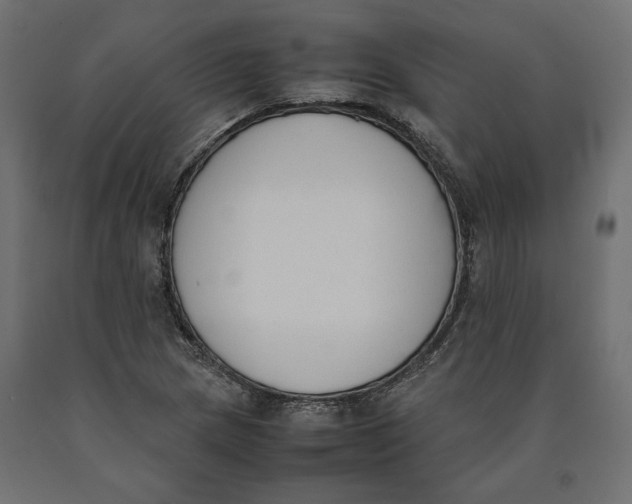 X0000090411217200708031035