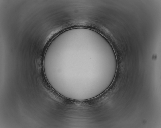 X0000090411218200708031035
