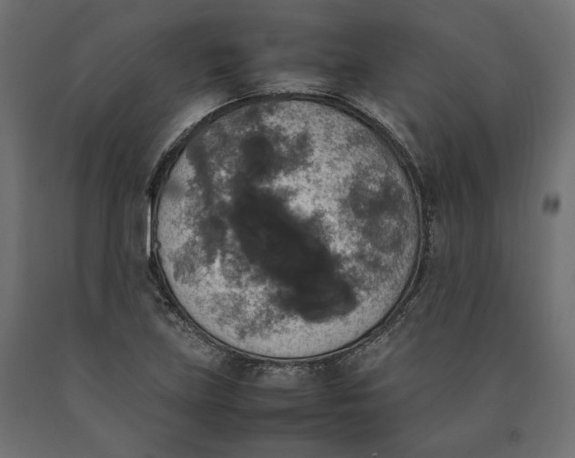 X0000090411219200708031035