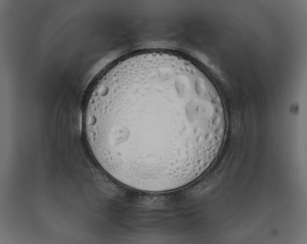 X0000090411221200708031035