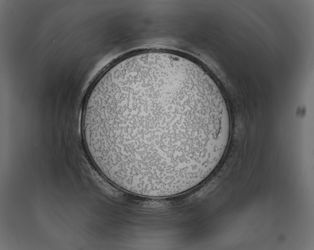 X0000090411224200708031035