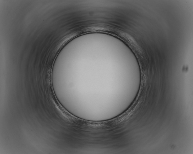 X0000090411225200708031035