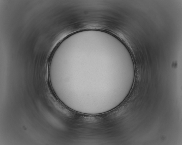 X0000090411227200708031035