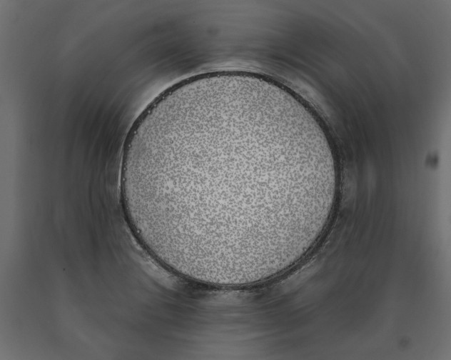 X0000090411228200708031035