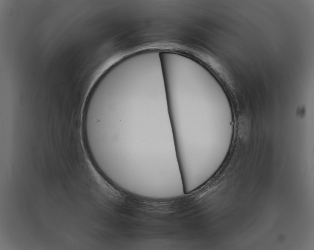 X0000090411229200708031035