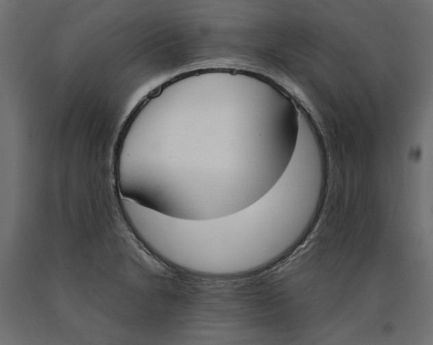 X0000090411230200708031035