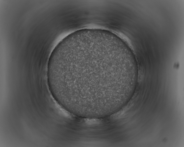 X0000090411231200708031035