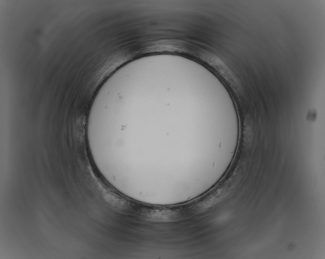 X0000090411233200708031035
