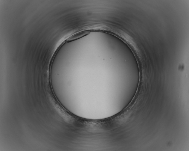 X0000090411234200708031035