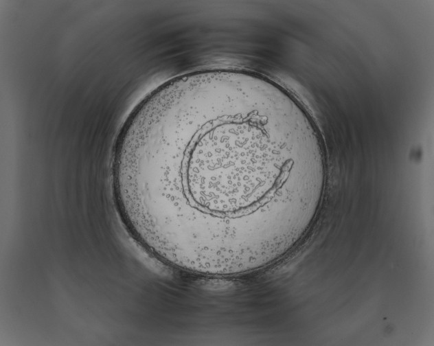 X0000090411235200708031035