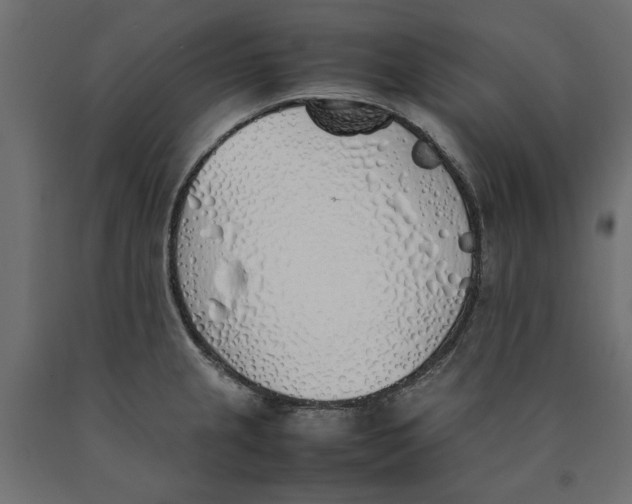 X0000090411237200708031035