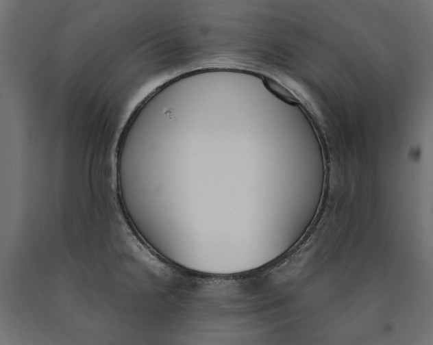 X0000090411238200708031035