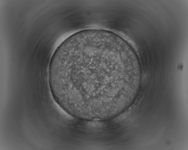 X0000090411239200708031035
