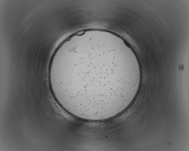 X0000090411240200708031035