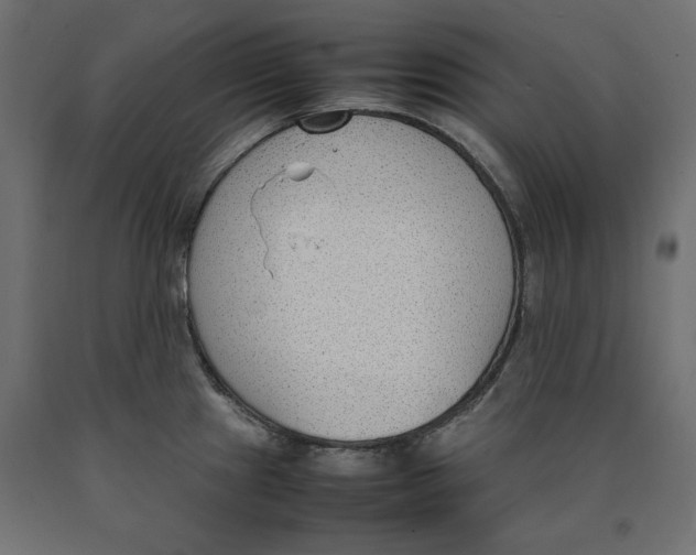 X0000090411241200708031035