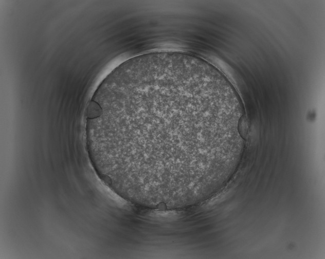X0000090411243200708031035