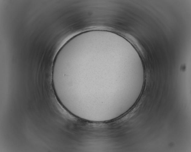 X0000090411244200708031035