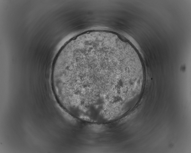 X0000090411245200708031035
