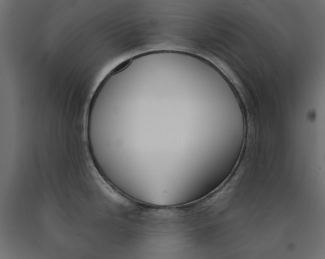 X0000090411246200708031035