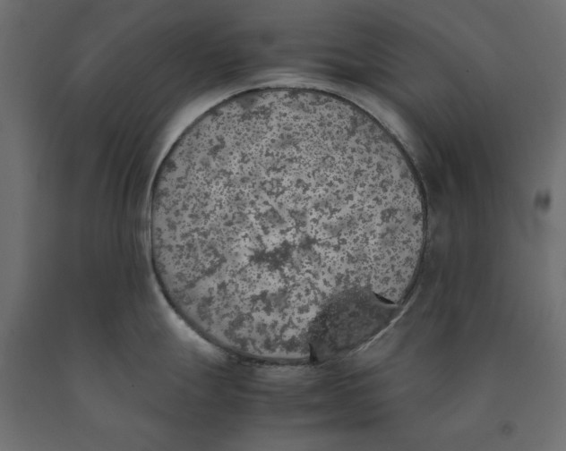 X0000090411247200708031035