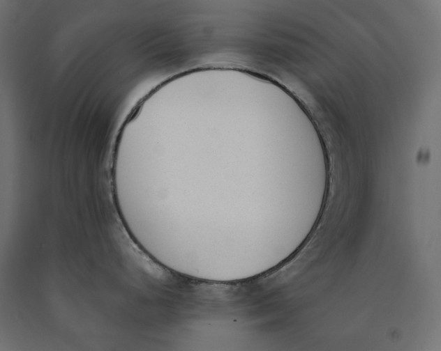X0000090411248200708031035