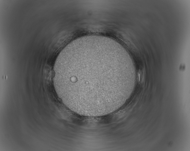 X0000090411251200708031034