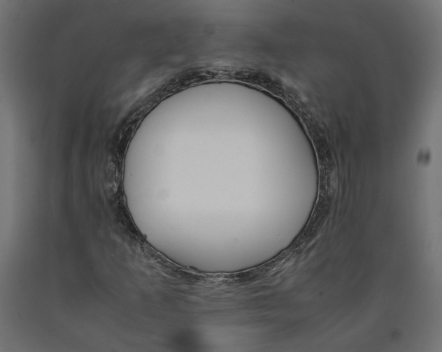 X0000090411253200708031034