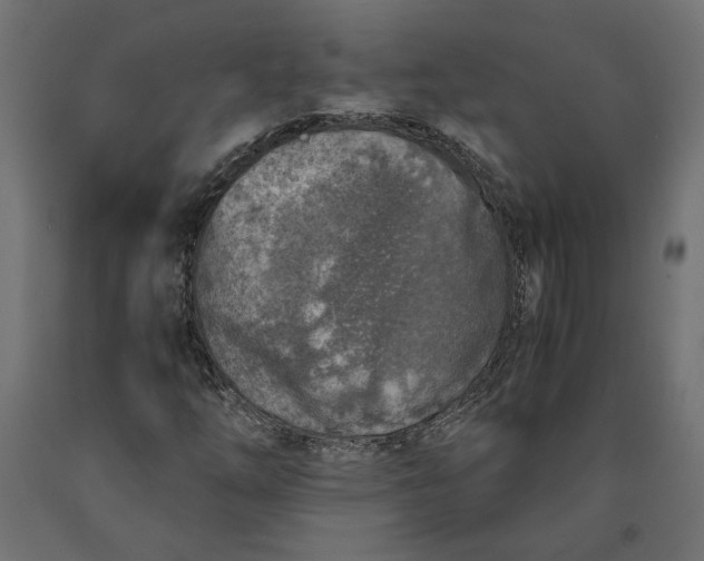 X0000090411254200708031034