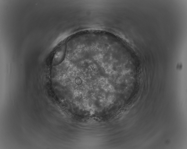 X0000090411255200708031034