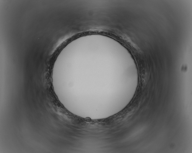 X0000090411256200708031034