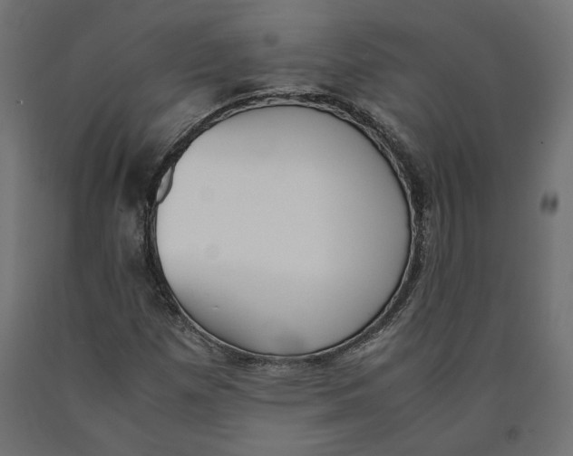 X0000090411257200708031034