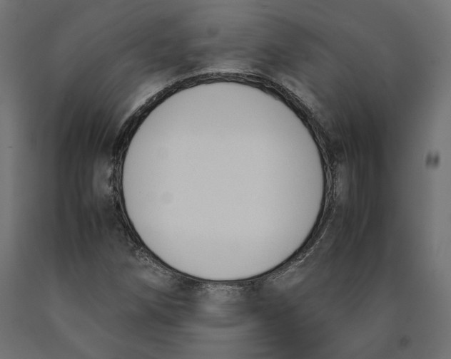 X0000090411258200708031034