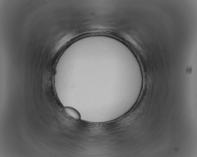 X0000090411259200708031034